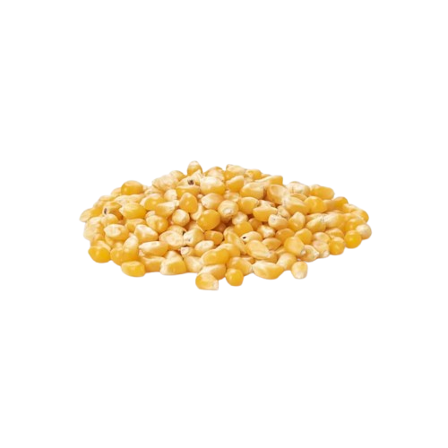 MAÍZ PALOMERO 1KG